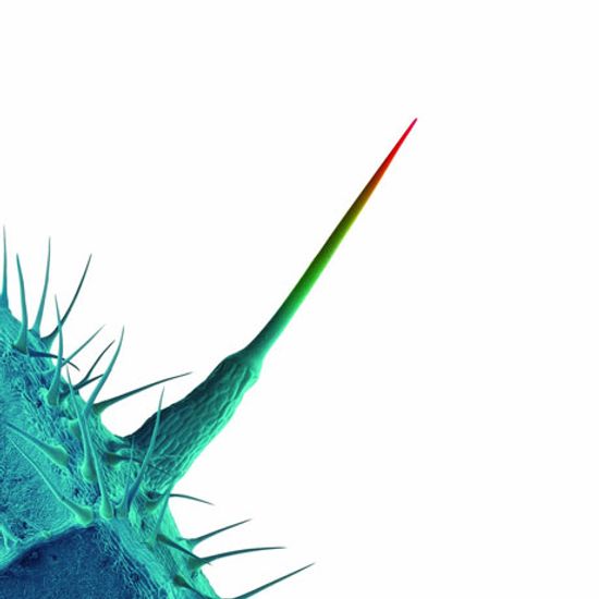 AND I`LL SCRATCH YOURS