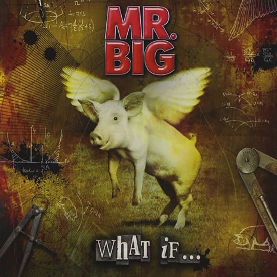 WHAT IF...[CD+DVD]