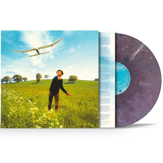 WHO WE USED TO BE [RECYCLED LP]