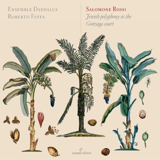 FEWISH POLYPHONY AT THE GONZAGA COURT/ ENSEMBLE DAEDALUS, ROBERTO FESTA