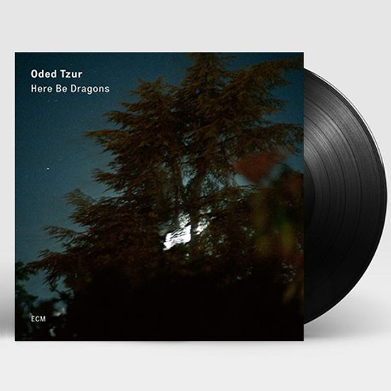 HERE BE DRAGONS [180G LP]