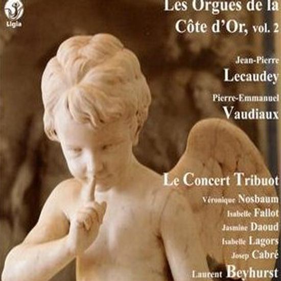 LES ORGUES DE LA COTE D`OR, VOL.2/ PIERRE EMMANUEL VAUDIAUX