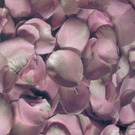 DIFFERANCE [차연: 差延]