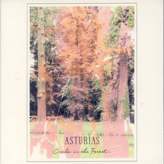 CIRCLE IN THE FOREST