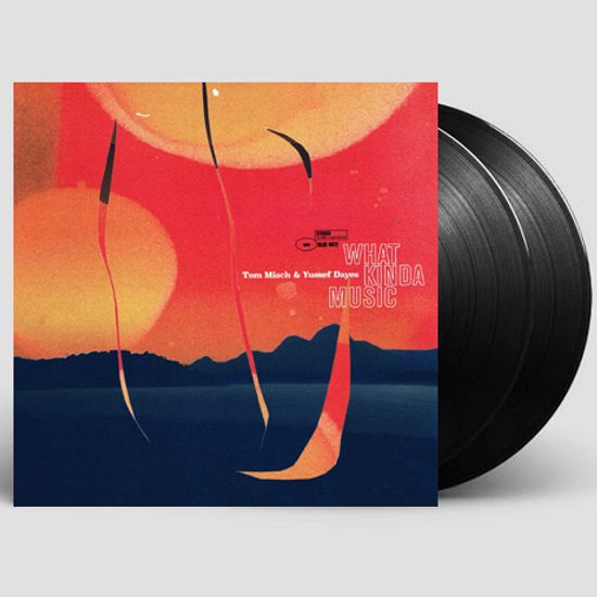 WHAT KINDA MUSIC [LP]