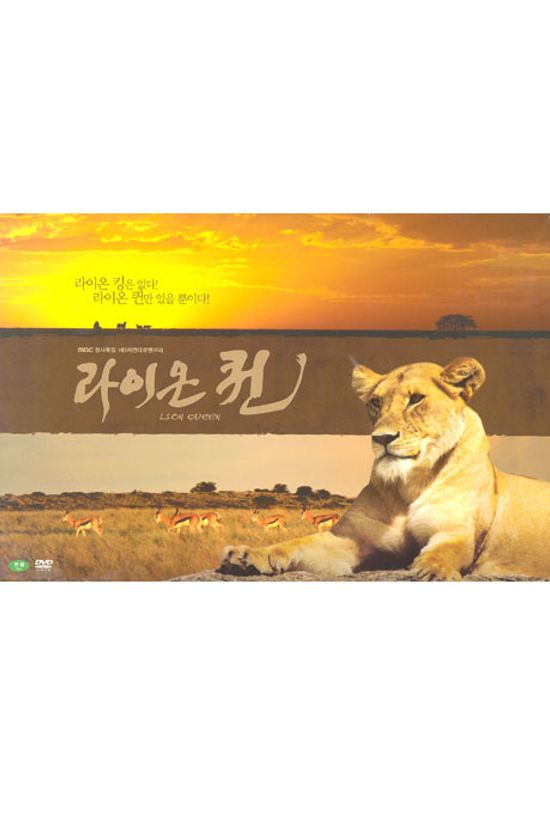 라이온 퀸: 화보집포함 한정판 [MBC 창사특집 HD자연다큐멘터리]