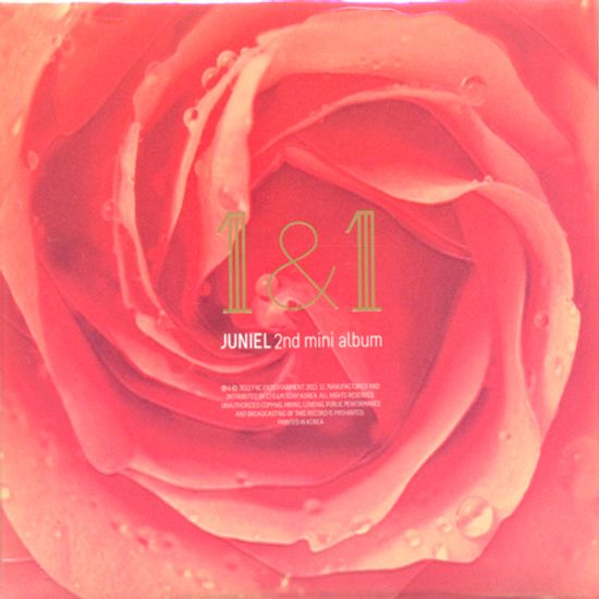 1&1 [미니 2집]