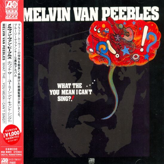 WHAT THE.... YOU MEAN I CAN`T SING?! [WARNER ATLANTIC R&B BEST COLLECTION 1000]