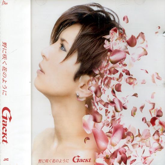 野にさく花のように [들에 피는 꽃처럼/ SINGLE]