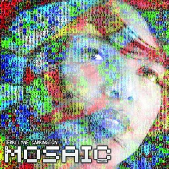 THE MOSAIC PROJECT