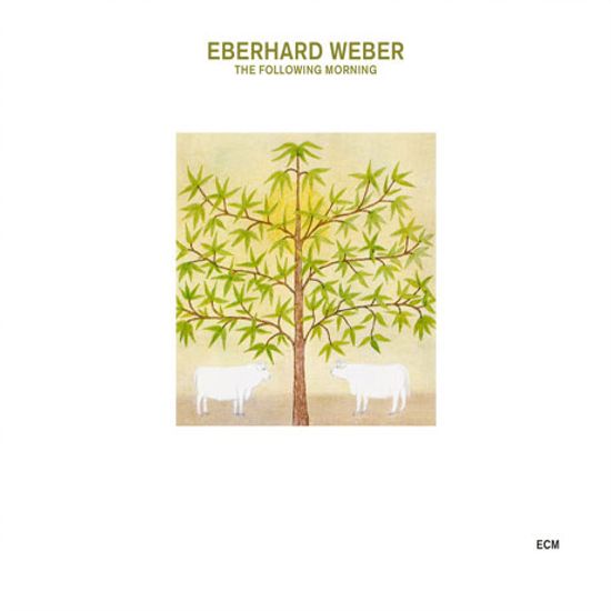 THE FOLLOWING MORNING [TOUCHSTONE SERIES]