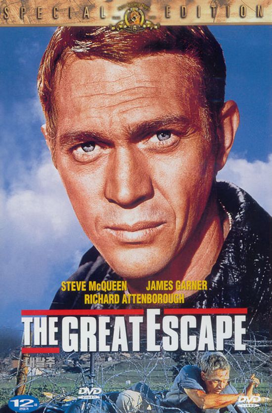 대탈주 S.E [THE GREAT ESCAPE]