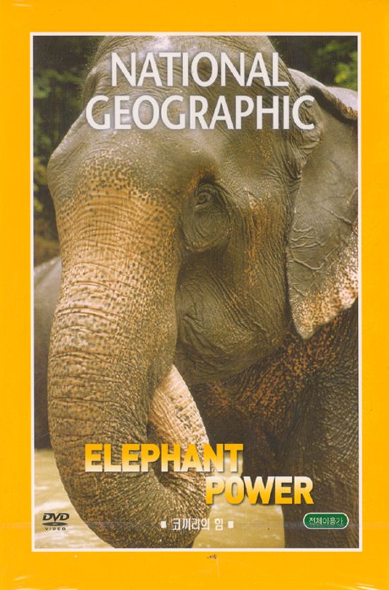 코끼리의 힘 [ELEPHANT POWER]