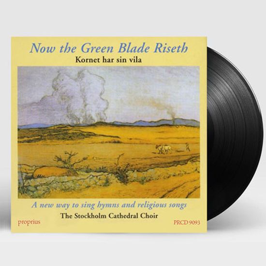 NOW THE GREEN BLADE RISETH/ GUSTAF SJOKVIST, ANDERS EBY [스톡홀룸 대성당 합창단: 마음의 평화를 위하여] [180G LP]