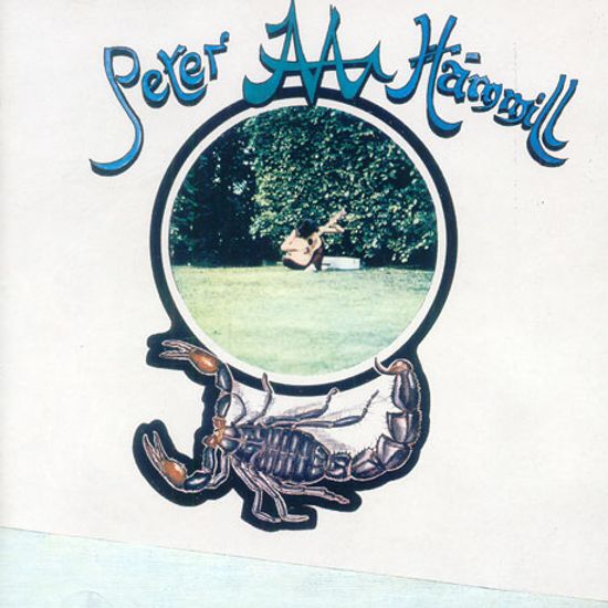 CHAMELEON IN THE SHADOW OF THE NIGHT