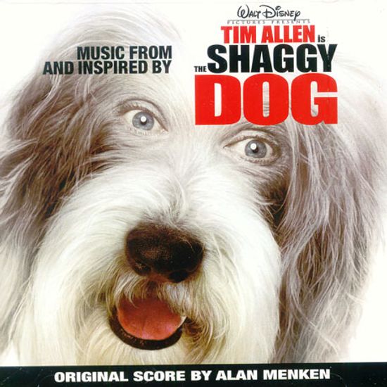 THE SHAGGY DOG [섀기 독]