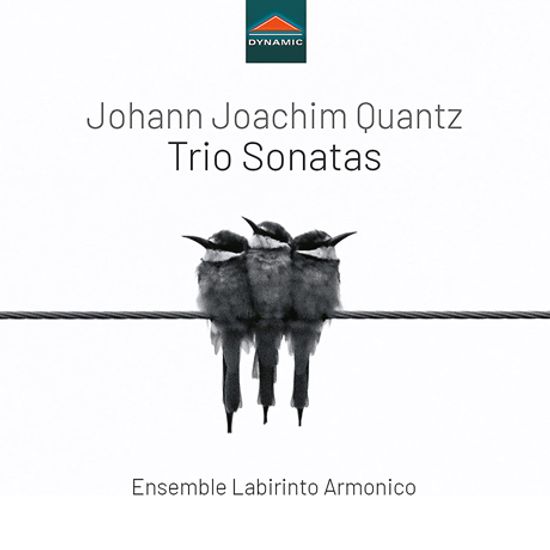 TRIO SONATAS/ ENSEMBLE LABIRINTO ARMONICO [크반츠: 여섯 개의 트리오 소나타 - 앙상블 라비린토 아르모니코]