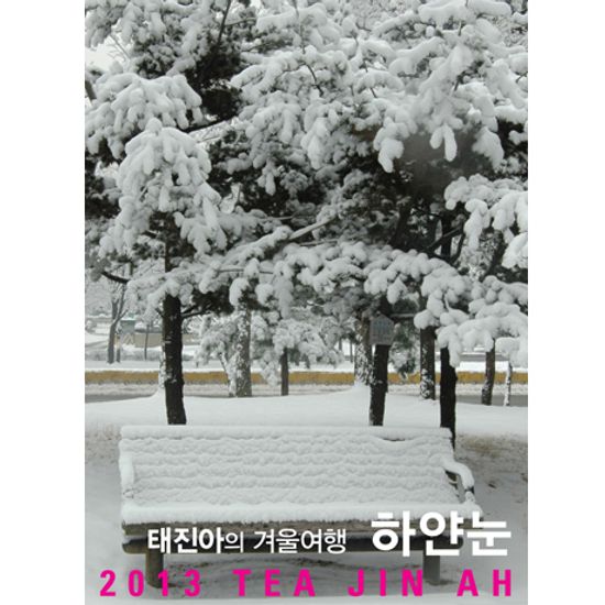 2013 하얀눈 [태진아의 겨울여행