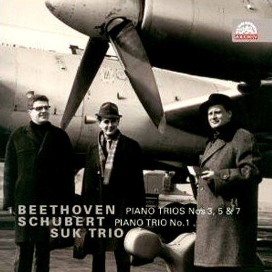 PIANO TRIOS/ SUK TRIO