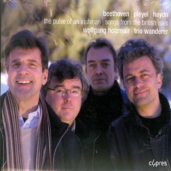 THE PULSE OF AN IRISHMAN/ WOLFGANG HOLZMAIR