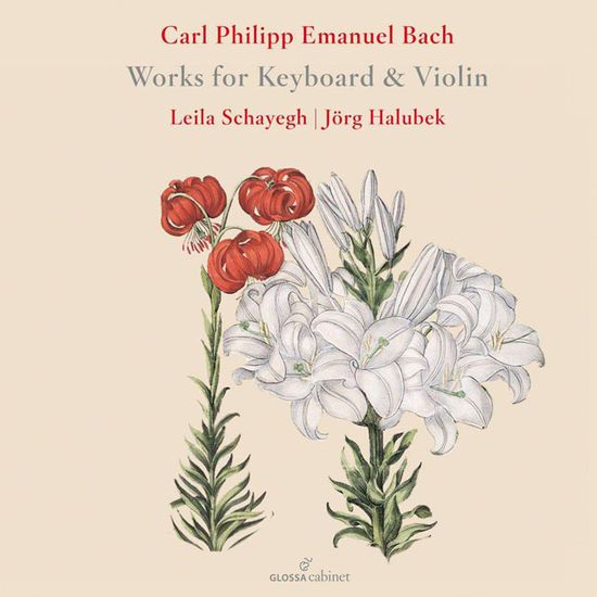 WORKS FOR KEYBOARD & VIOLIN/ LEILA SCHAYEGH, JORG HALUBEK [C.P.E.바흐: 바이올린과 건반 악기를 위한 작품들 - 라일라 샤예흐, 외르크 할루베크
]