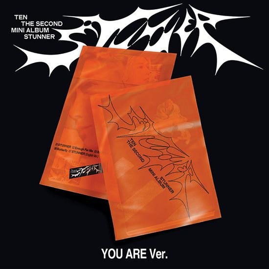 STUNNER [미니 2집] [YOU ARE VER]