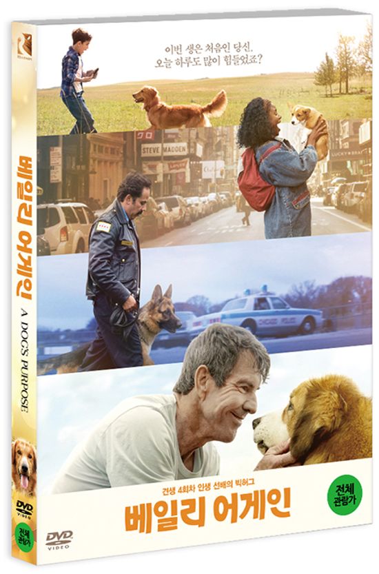 베일리 어게인 [A DOG`S PURPOSE]