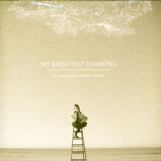 A THOUSAND SHARK`S TEETH