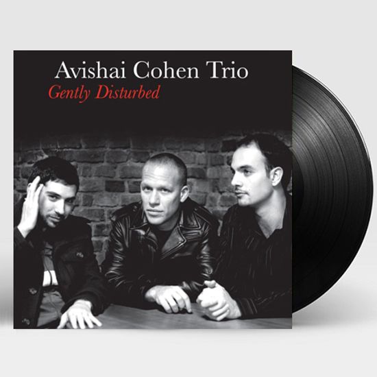 GENTLY DISTURBED [LP]