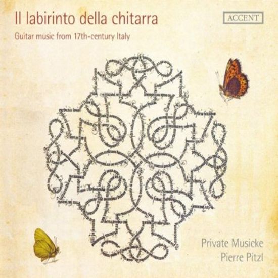 IL LABIRINTO DELLA CHITARRA/ PRIVATE MUSICKE, PIERRE PITZL