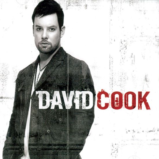 DAVID COOK