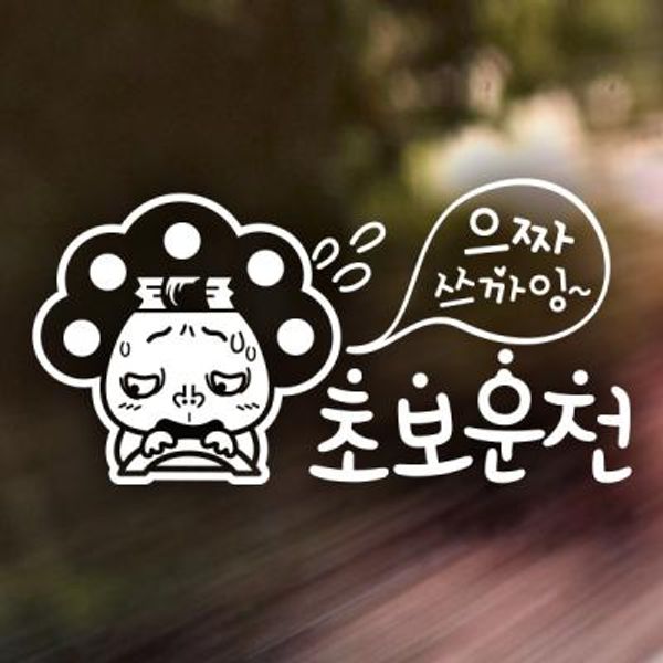 파마줌마 으짜쓰까잉 초보운전 / 초보운전 반사스티커 자동차스티커