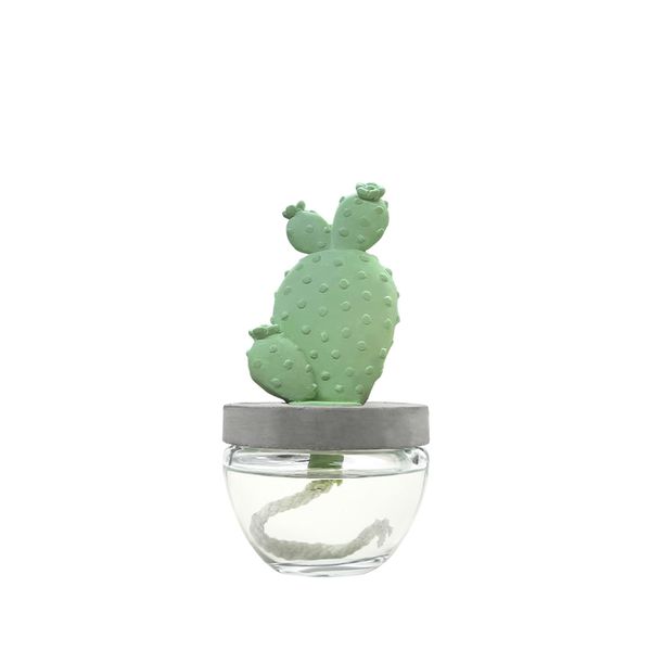 아로마코 선인장 디퓨저(100ml)/향 선택