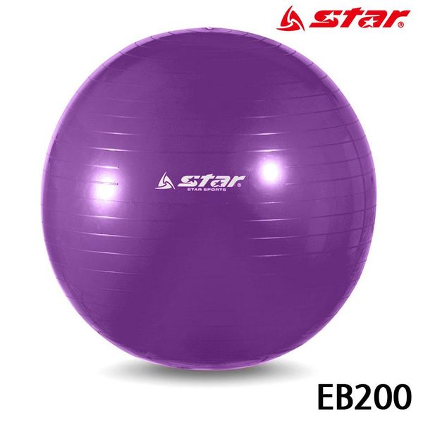 짐볼 짐볼 헬스 마사지짐볼 EB200 보라(WFJ7TS4)