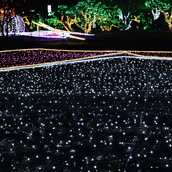 은하수 300구 검정선 LED 지니전구 30M 2colors