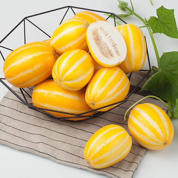 [자연예서] 성주 참외 10kg (21-25과)특대
