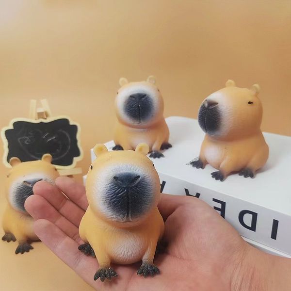 못생긴 왕 카피바라 말랑이 만득이 스퀴시 심신안정