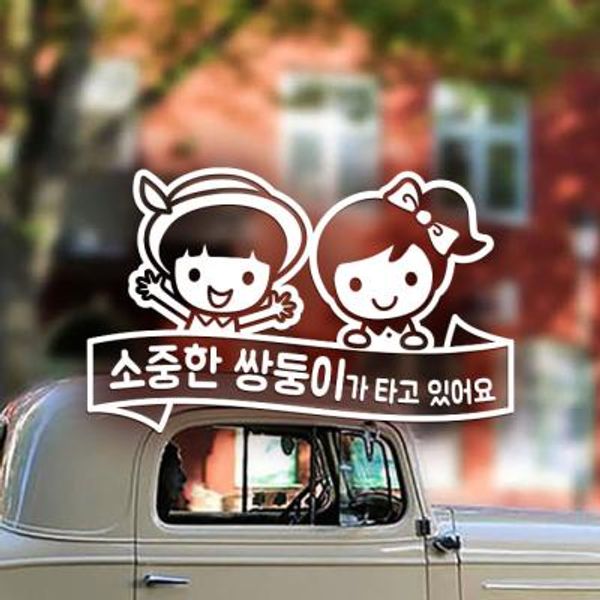 18A144 리본윙크소중한쌍둥이보브셀리05 반사