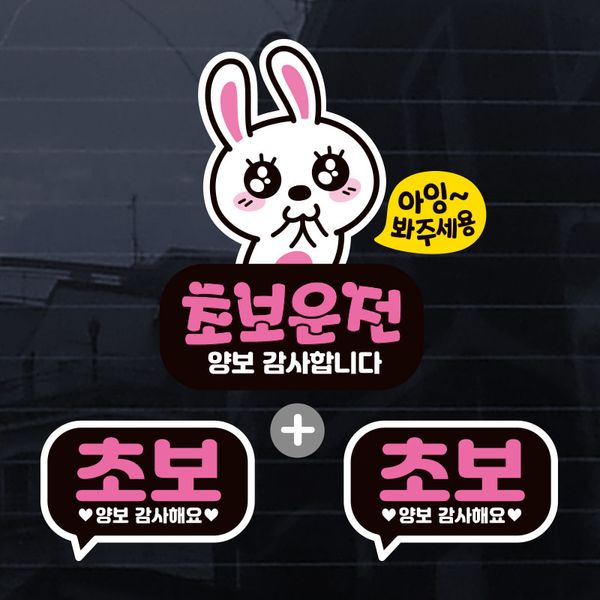 칼라 초보운전 스티커 자동차 시트지 제작 초보S022