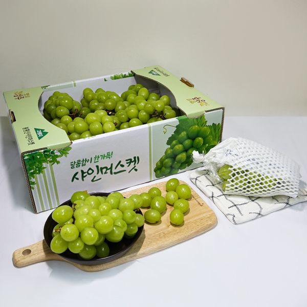 [과일명가]탱글탱글 달콤한 샤인머스켓 1.5kg/2~3송이