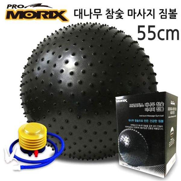 대나무 참숯 마시지 짐볼 55Cm(WFJB28Z)