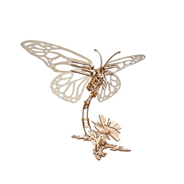 나비(Butterfly)