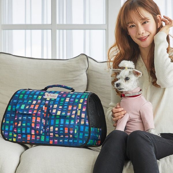 반려동물 강아지 고양이 이동식 가방 Picasso