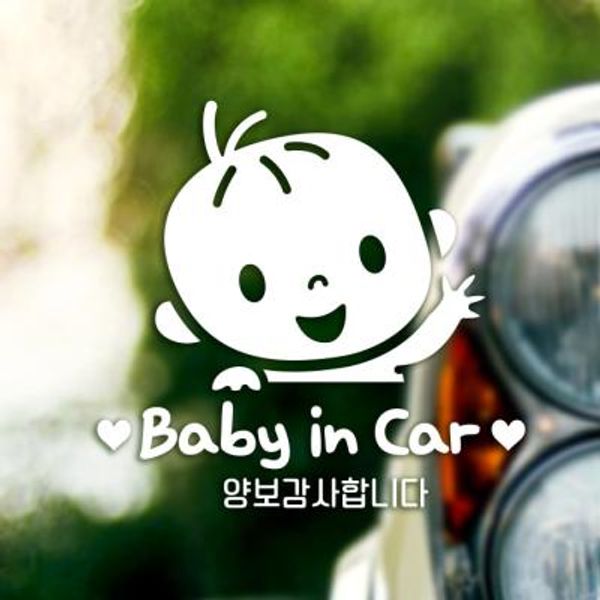 18A30 피오니남아영문양보감사 반사
