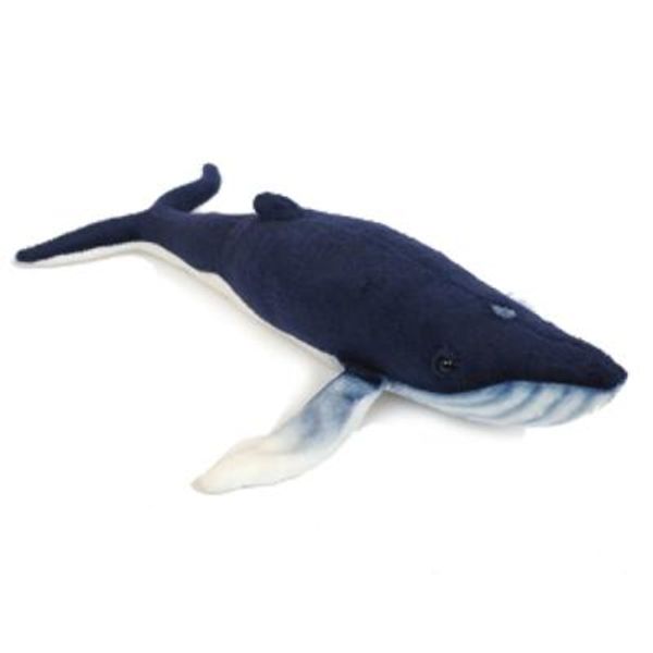 6285번 혹등고래 hump back whale
