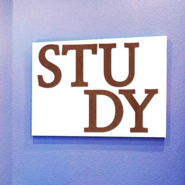 우드스티커- STUDY (컬러완제) 레터링 글자 W474 입체