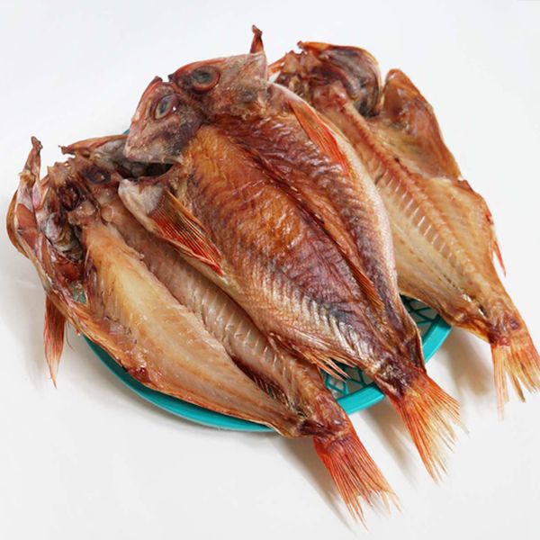 볼락 36cm 5마리