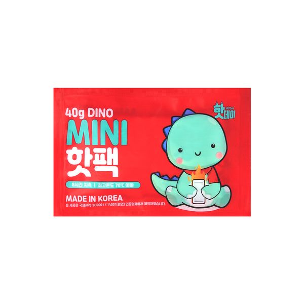핫데이핫팩 다이노 미니형 40g X 100매