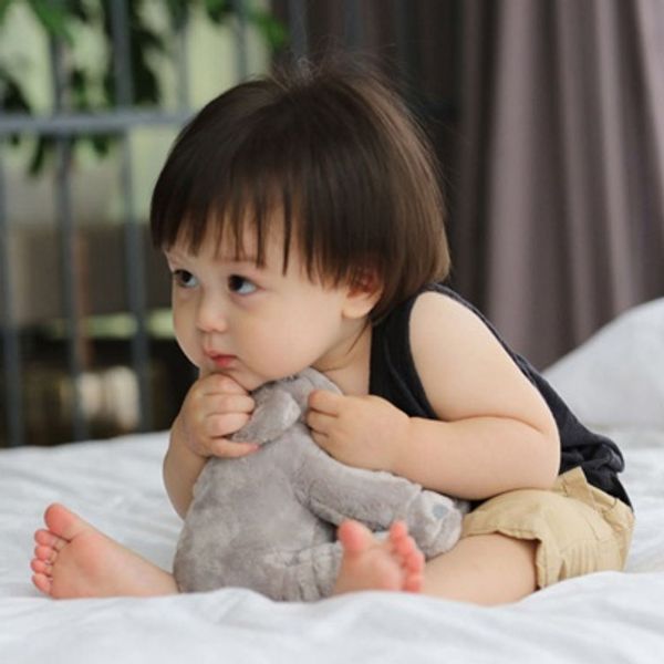 외출용 작은코끼리 애착인형 베비(BEBI)