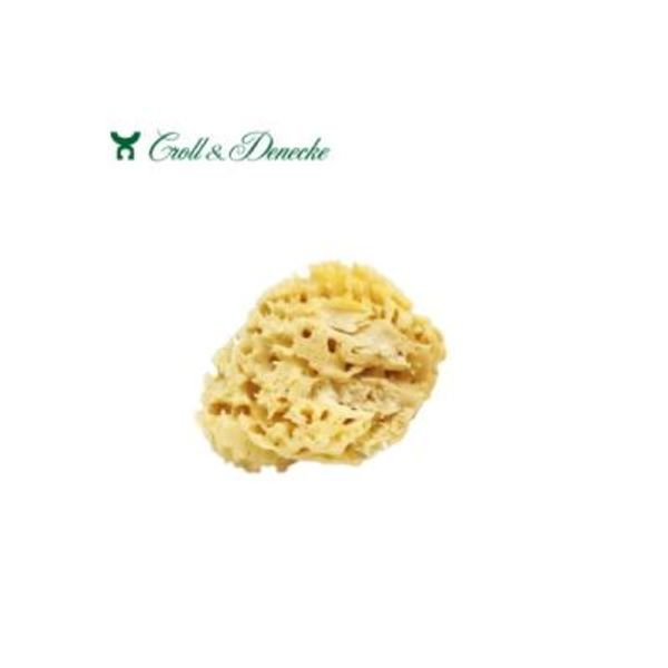 [7087] CROLL 천연해면 클래식 C007